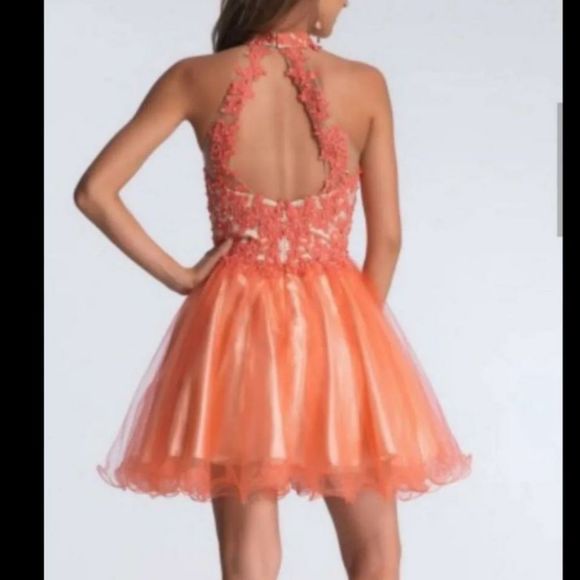 Coral Dress with matching Evening Purse - Picture 9 of 9